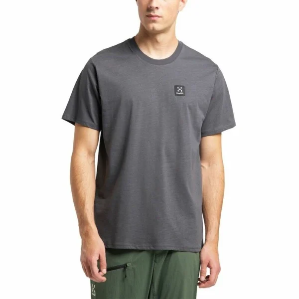 Budget ⭐ Haglöfs Camp Teenew – T-shirt homme 😍 1