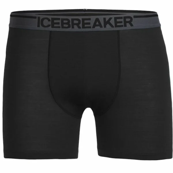 Bon marché ✔️ Icebreaker Anatomica Boxers – Boxer homme ⭐ 1