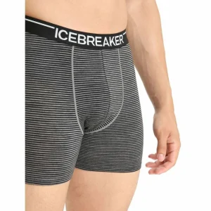 Bon marché ✔️ Icebreaker Anatomica Boxers – Boxer homme ⭐ 31