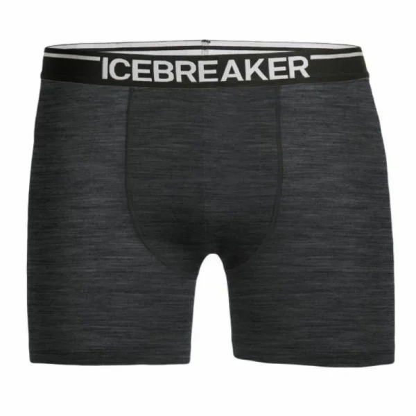 Bon marché ✔️ Icebreaker Anatomica Boxers – Boxer homme ⭐ 8