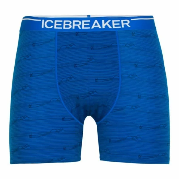 Bon marché ✔️ Icebreaker Anatomica Boxers – Boxer homme ⭐ 12