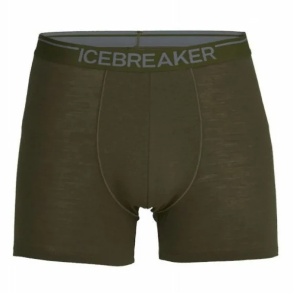 Bon marché ✔️ Icebreaker Anatomica Boxers – Boxer homme ⭐ 10