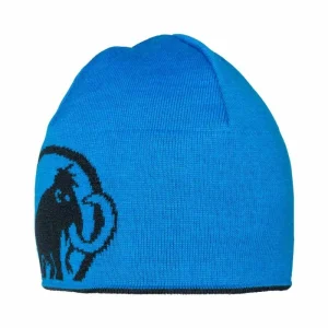 Budget ❤️ Mammut Mammut Logo Beanie – Bonnet ✔️ 13