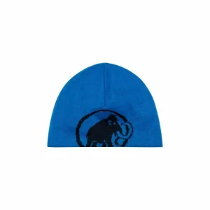 Budget ❤️ Mammut Mammut Logo Beanie – Bonnet ✔️ 19